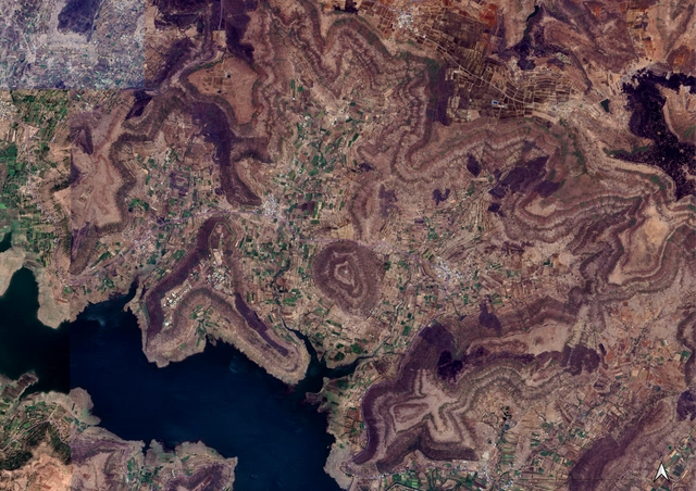 Afforestation Plan - Tiwai Hills