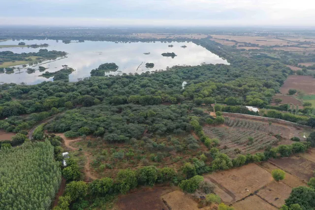 Hidimbavan Ecological Repository